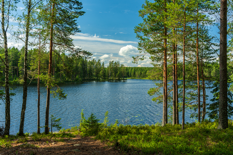 lake at Twin Lakes Resort